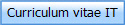 Curriculum vitae IT