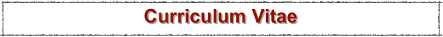 Curriculum Vitae